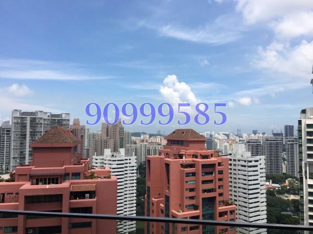 OUE Twin Peaks (D9), Condominium #122713092